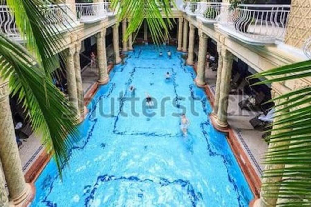 布达佩斯ALWAYS A HUGE SALE!的一座游泳池,里面种满了棕榈树