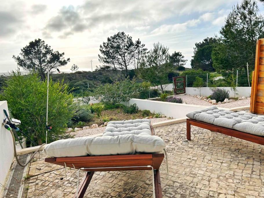 阿尔热祖尔Olive Tree Sunset View - V3 luxo vista mar的两把长椅坐在庭院顶