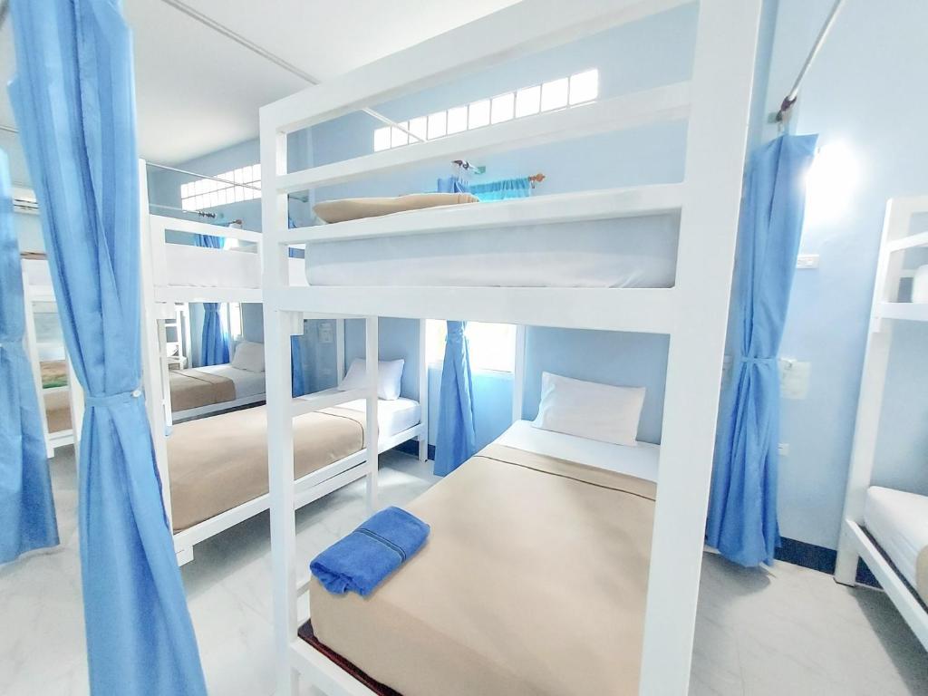 考索Khao Sok Backpacker Hostel的一间卧室配有两张双层床和蓝色窗帘