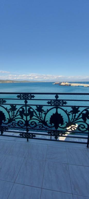 伊西翁Leonidas Hotel的水体旁的黑色金属栅栏