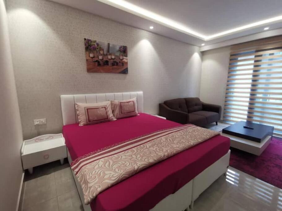 阿克拉Intimate Studio Apartment - Mirage Residence的一间卧室配有一张大床和一张沙发