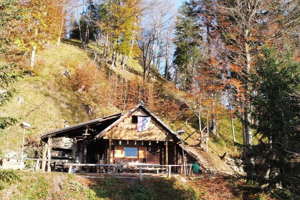耶塞尼采A Cottage in the Alps for hiking, cycling, skiing的树林中的山丘上的小木屋