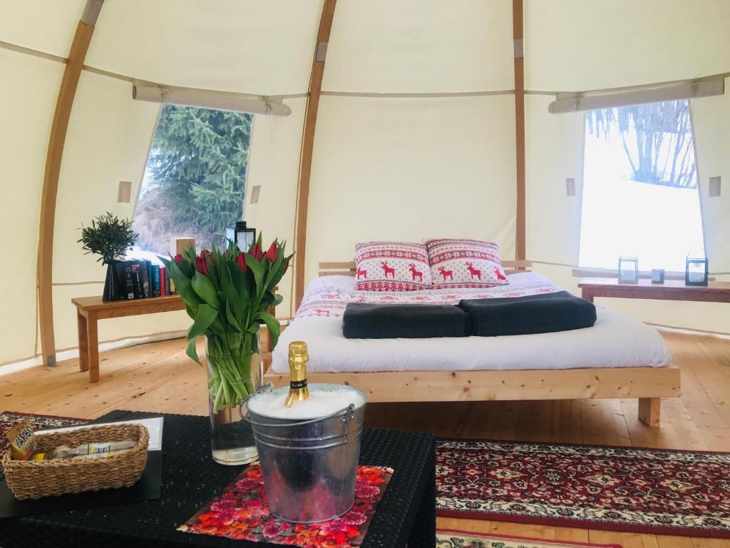 BjuråkerFrisbo Lodge - Romantic night in a dome tent lake view的卧室配有一张床