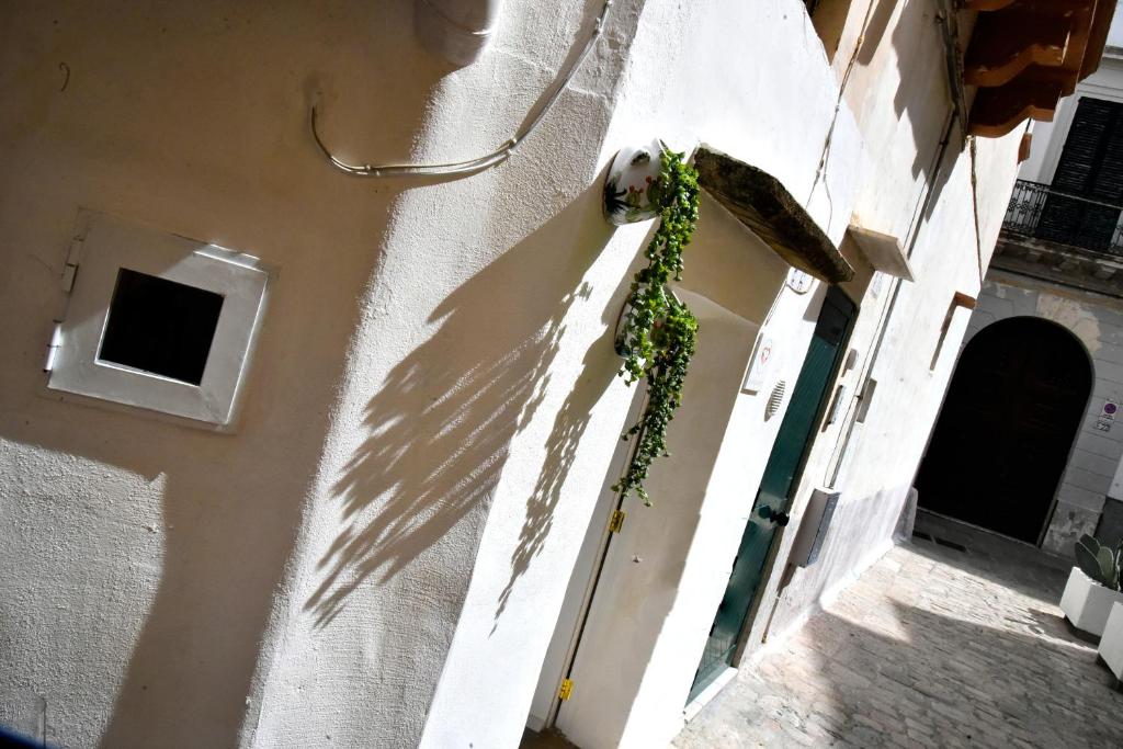 加利波利La Chicca di Ste的建筑物一侧有花圈的门