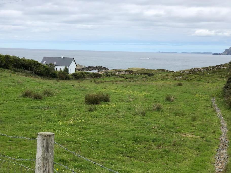 波特萨伦An teach Illanmore的围栏,在有房子和海洋的田野里