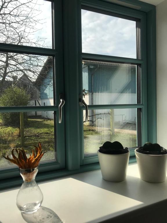 纳克斯考Tiny Guesthouse的窗台上摆着两瓶花的窗户