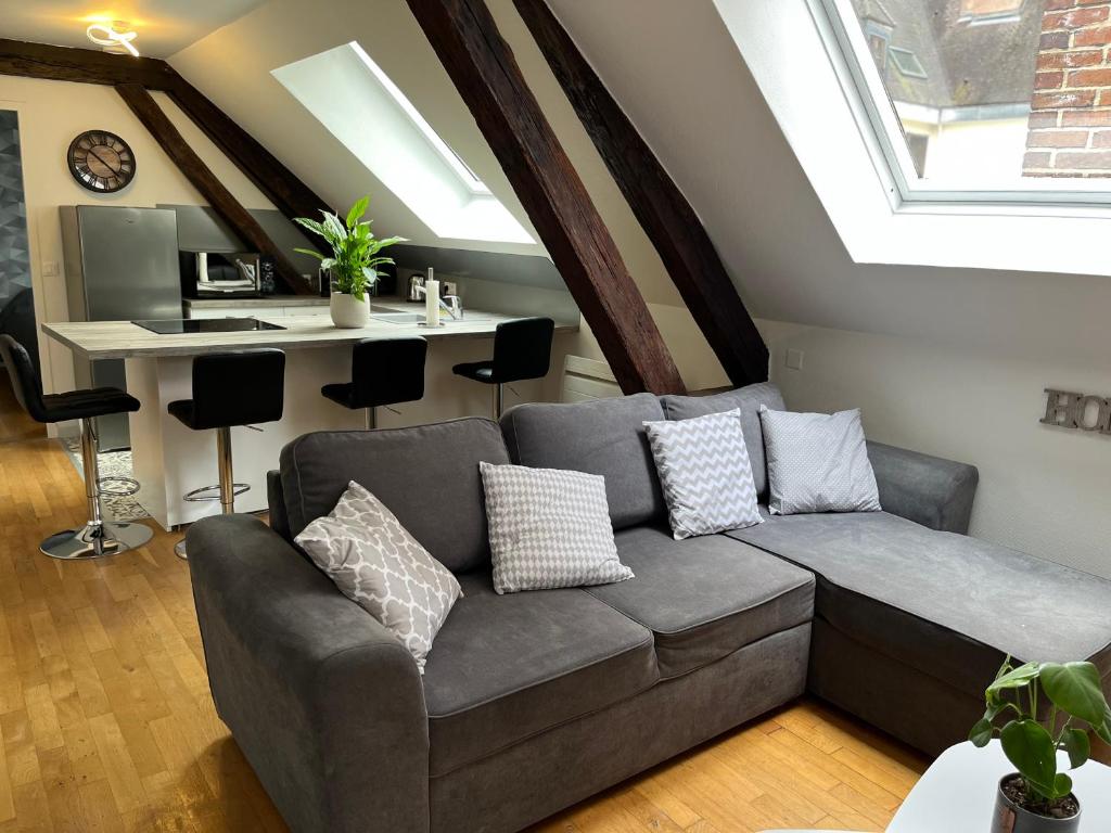 特鲁瓦Coeur de bouchon的客厅配有带枕头的灰色沙发