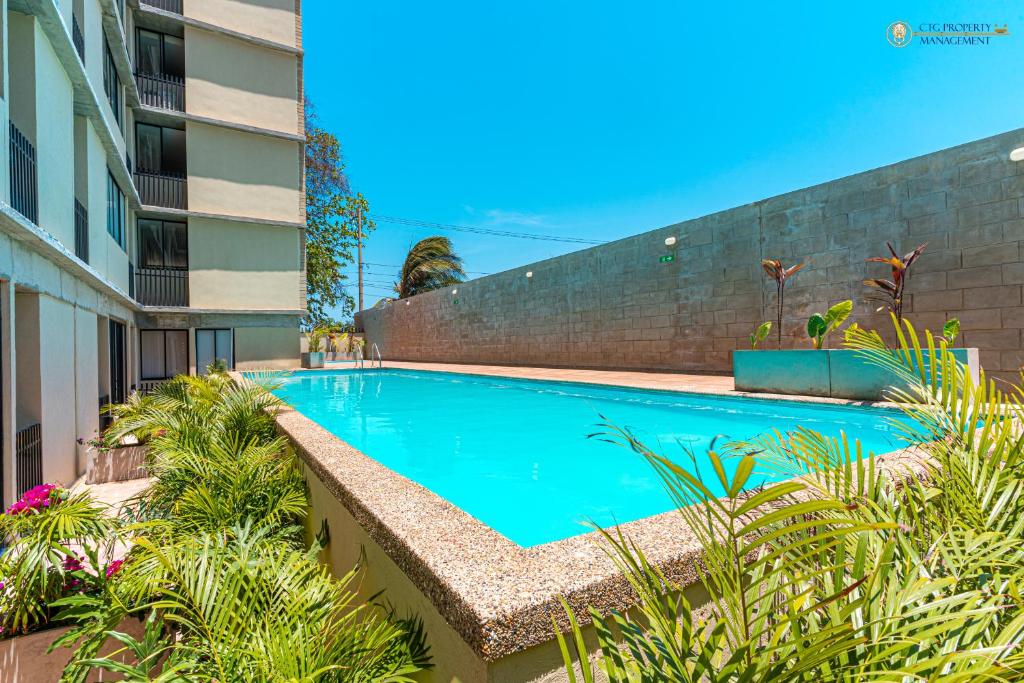 巴兰基亚Coco Paraiso Baranquilla - Hermoso Apartamento Cercano Al Malecón Del Rio的植物群前的游泳池