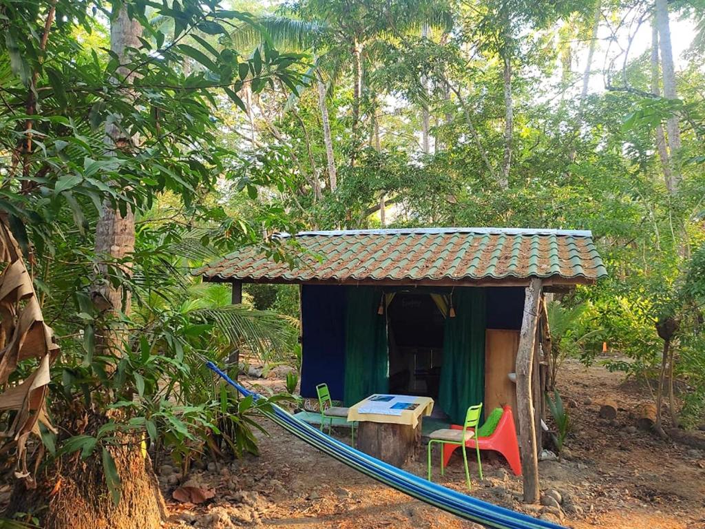 帕克拉Jungle Tent 3x3, Latino Glamping & Tours, Paquera的树林中小房子前面的吊床