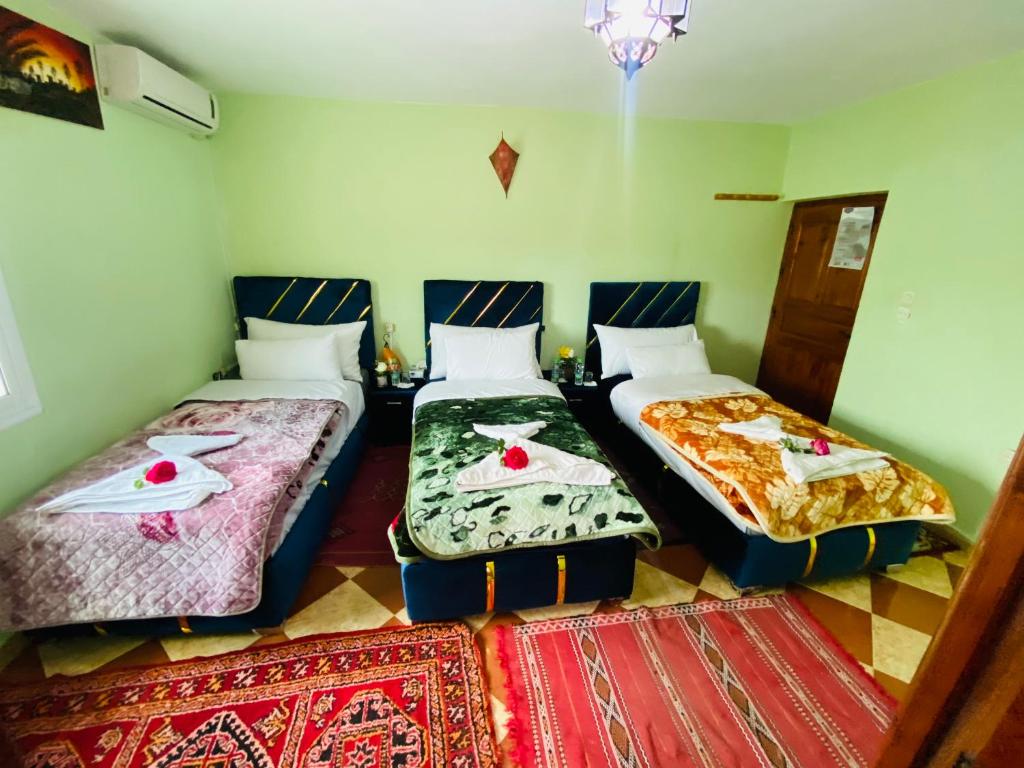 伊夫兰Motel Ain Mersa的配有地毯的客房内的两张床