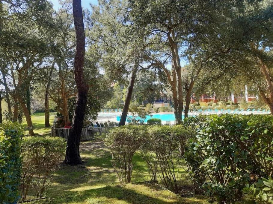 莫列马阿Chez Mag et Jo的一座树木繁茂的公园和一个游泳池