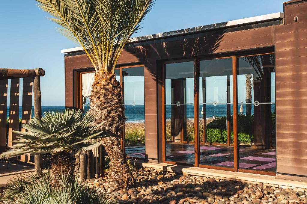 塔哈佐特天堂布拉阁冲浪瑜伽＆Spa酒店的海滩上一棵棕榈树的房子