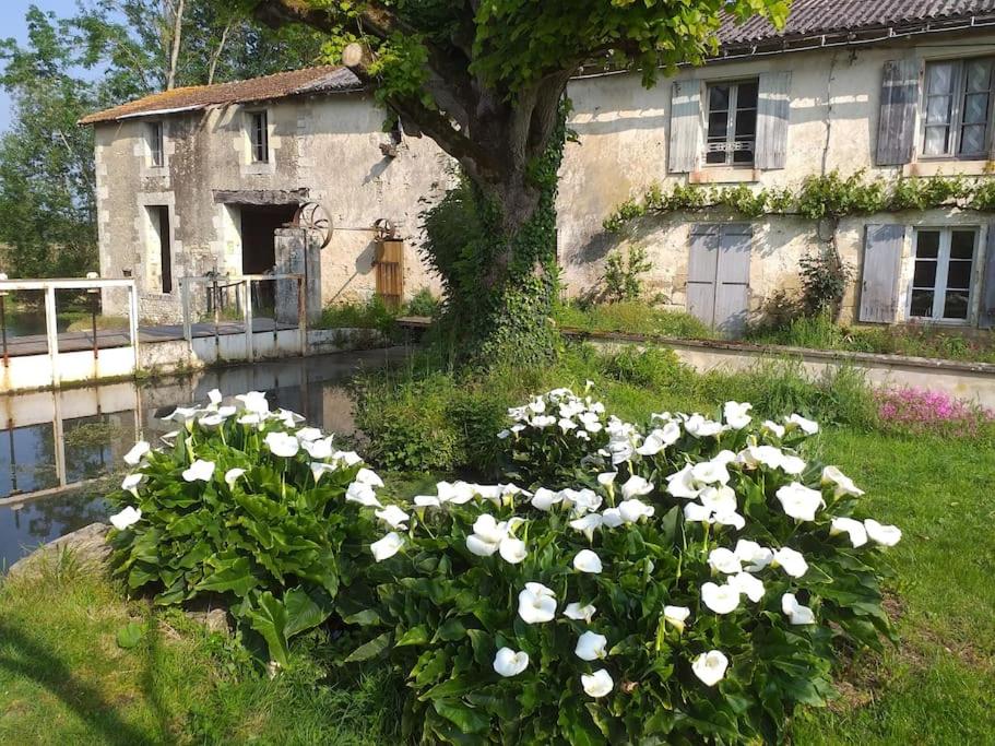 La Mothe-Saint-HérayGite du moulin的房子前面的一束白色花