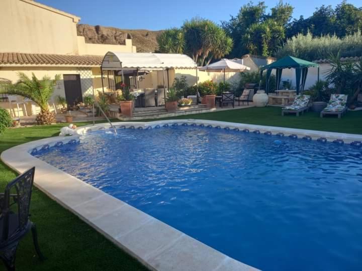 ArboleasCortijo Esquina B&B Guesthouse的院子里的大型蓝色游泳池