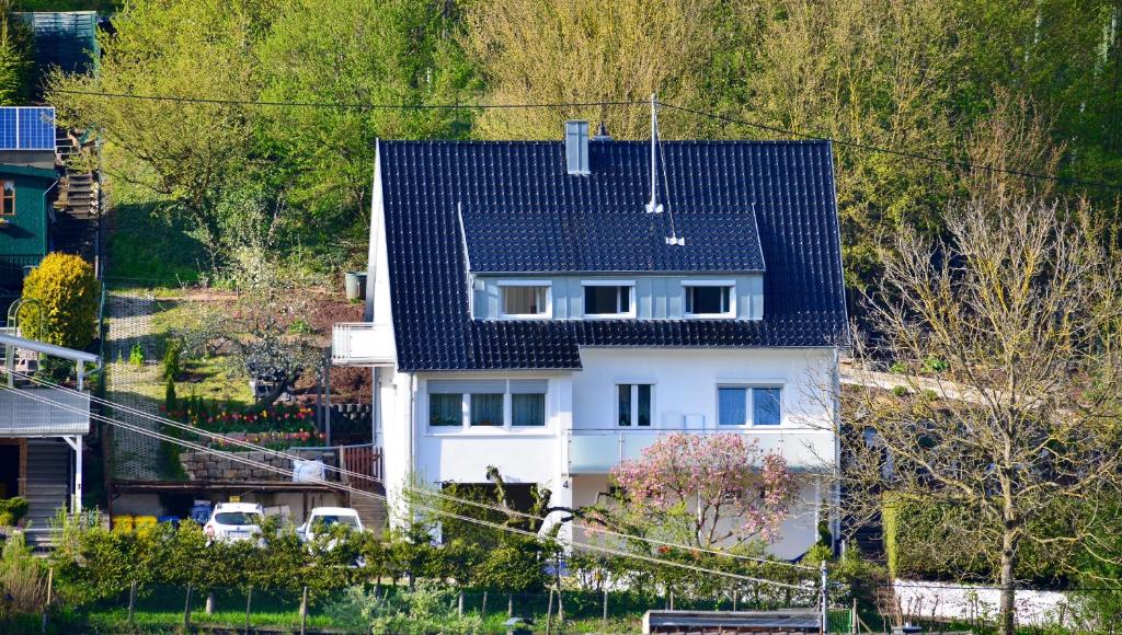 MurrhardtGreen Bambus Wohnung的黑色屋顶的白色房子