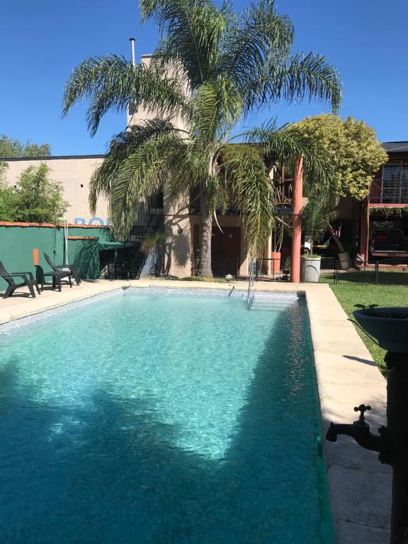 科隆Hotel Cristobal de Colón的庭院中棕榈树的游泳池