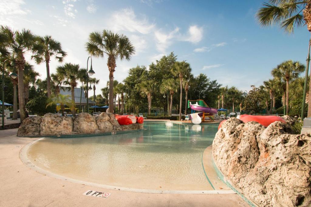 基西米SpringHill Suites by Marriott Orlando Lake Buena Vista South的棕榈树度假村的游泳池