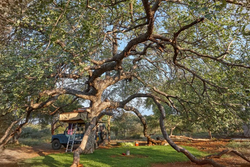 楚梅布ZuriCamp - Campsite Halishi的树上有一所房子