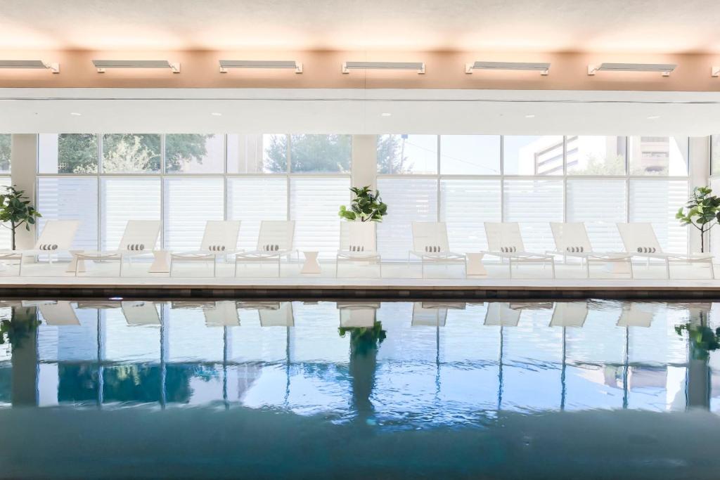 达拉斯AC Hotel by Marriott Dallas Downtown的游泳池旁的一排白色椅子