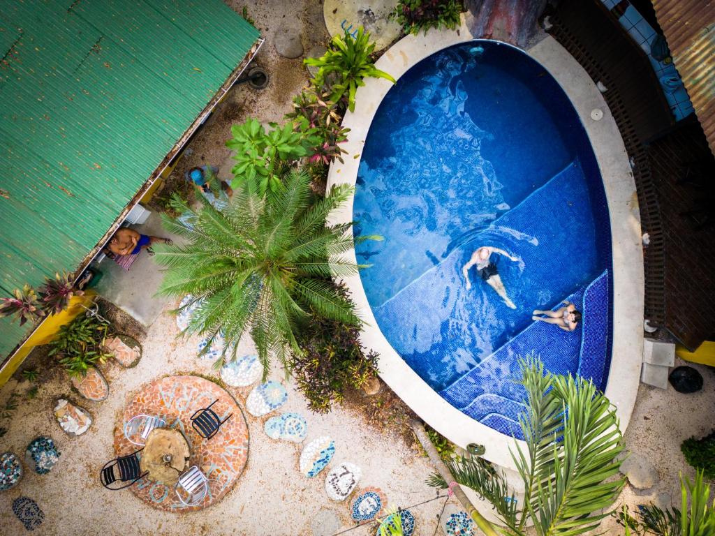 圣塔特蕾莎海滩圣特雷莎普拉维达迷你旅馆的游泳池的顶部景色,里面的人