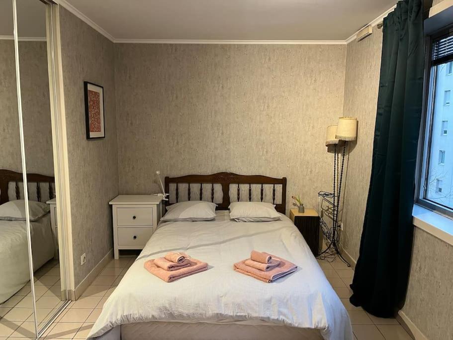 安纳马斯Le Clos du Chateau Rouge 3* avec Parking securisé的一间卧室配有一张床,上面有两条毛巾
