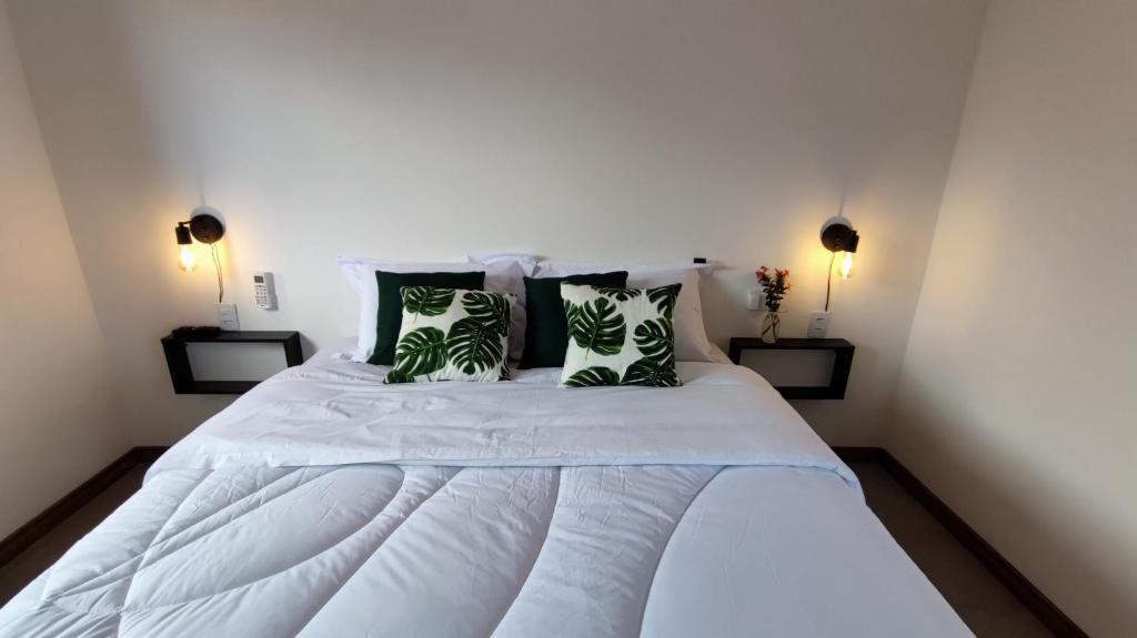 戈亚斯州上帕莱索Villa da Serra的卧室配有带绿色枕头的白色床