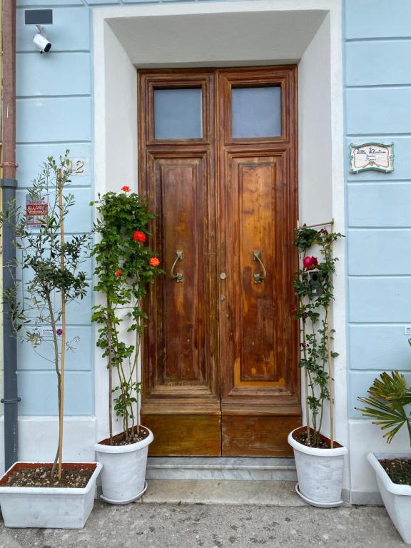 维亚雷焦Villa Valentina Versilia的木门,房子里有三棵盆栽植物
