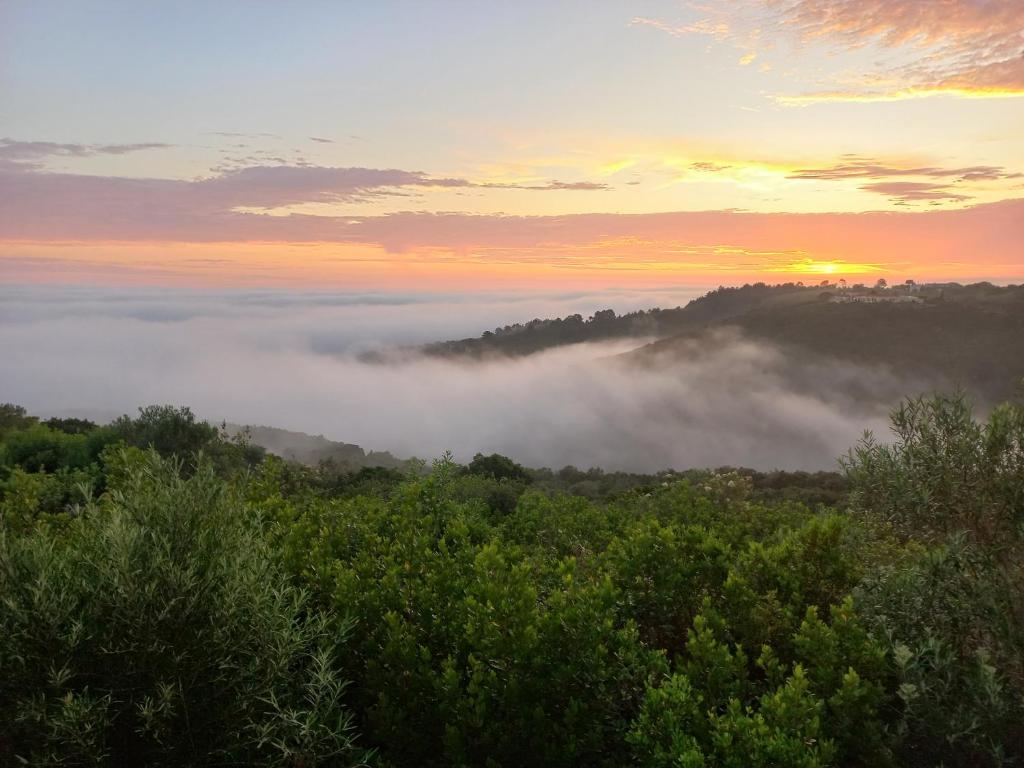 维德尼斯WILDERNESS SEASIDE ESCAPE的享有一个雾 ⁇ 的山谷的景色,阳光从树上升起