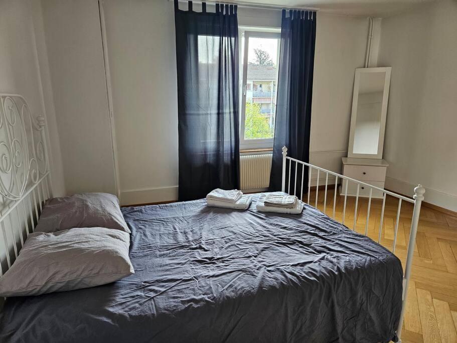 伯尔尼Apartment In Capital, Sleep Four的一间卧室配有一张带蓝色毯子的床和窗户。