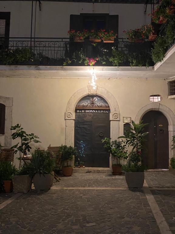 Cantalupo nel SannioB&B Donna Livia的两扇门和盆栽植物的建筑物入口