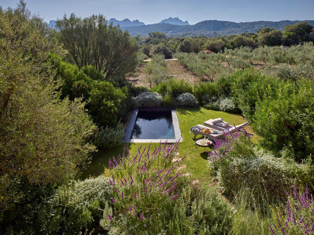 阿尔扎凯纳Cascioni Eco Retreat的享有花园空中美景,设有游泳池