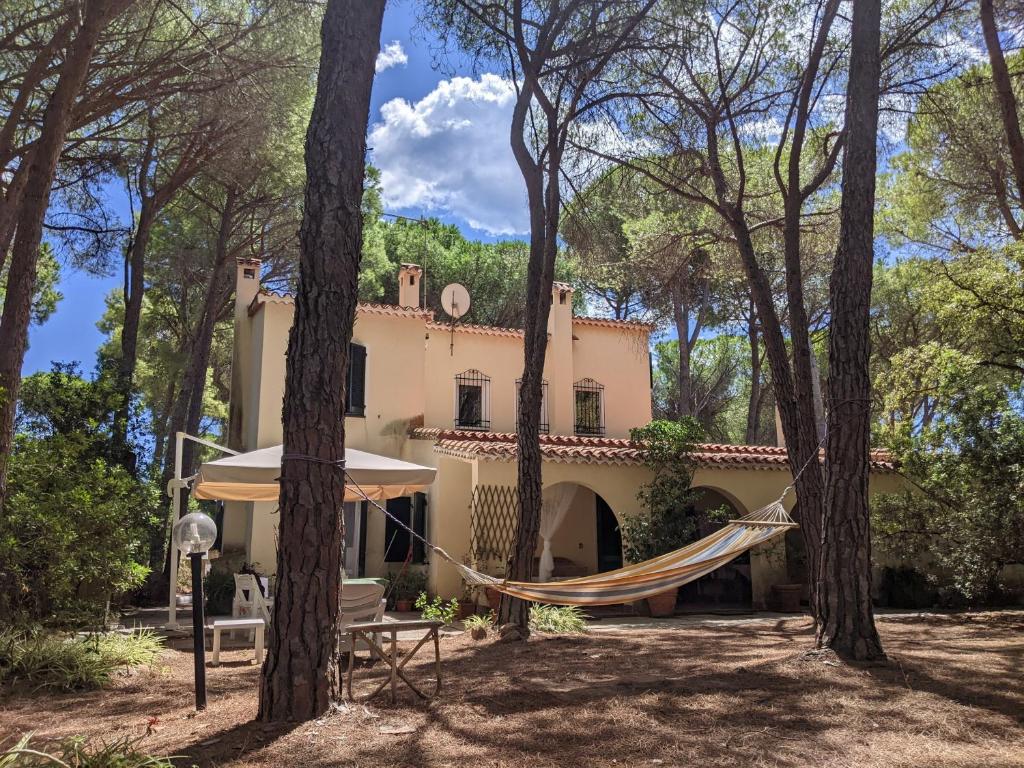 福特村Villetta in stile mediterraneo的树上带吊床的房子