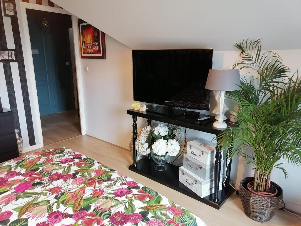 圣库隆CHEZ HÉLÈNE的客厅配有平面电视和植物