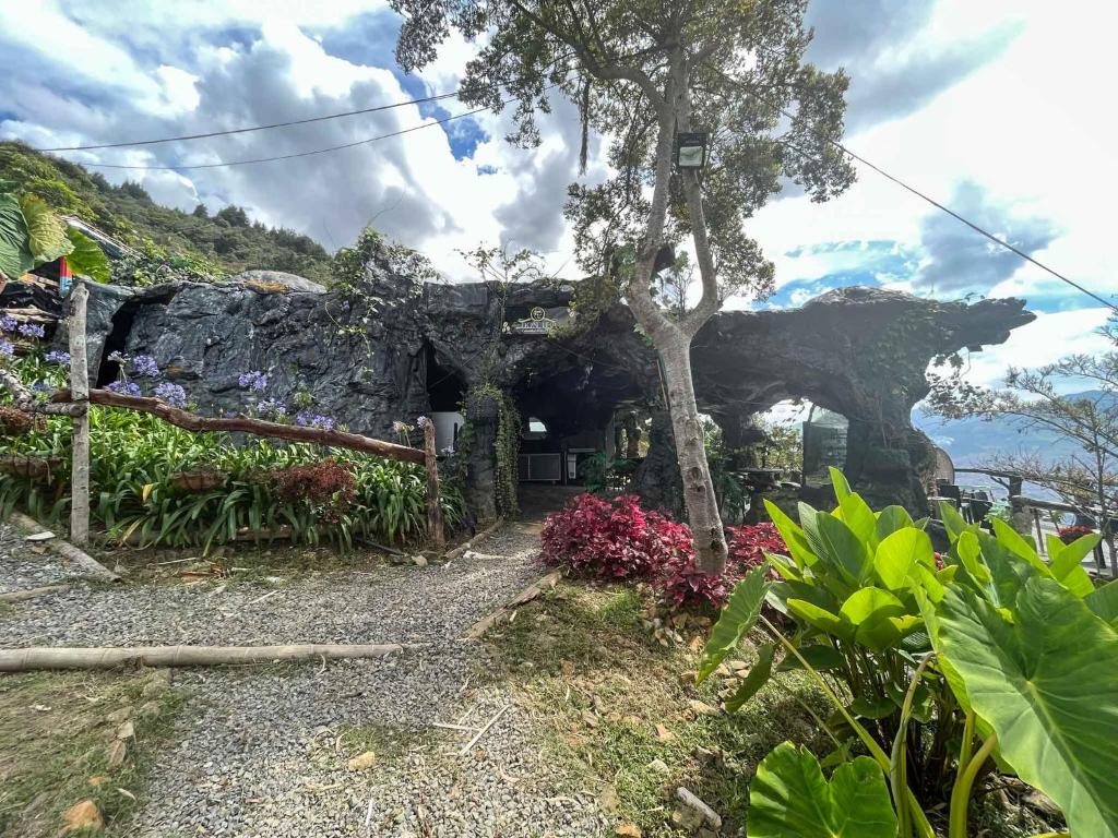 麦德林Cabaña Parque Arvi vista panorámica的石头房子,有树和鲜花