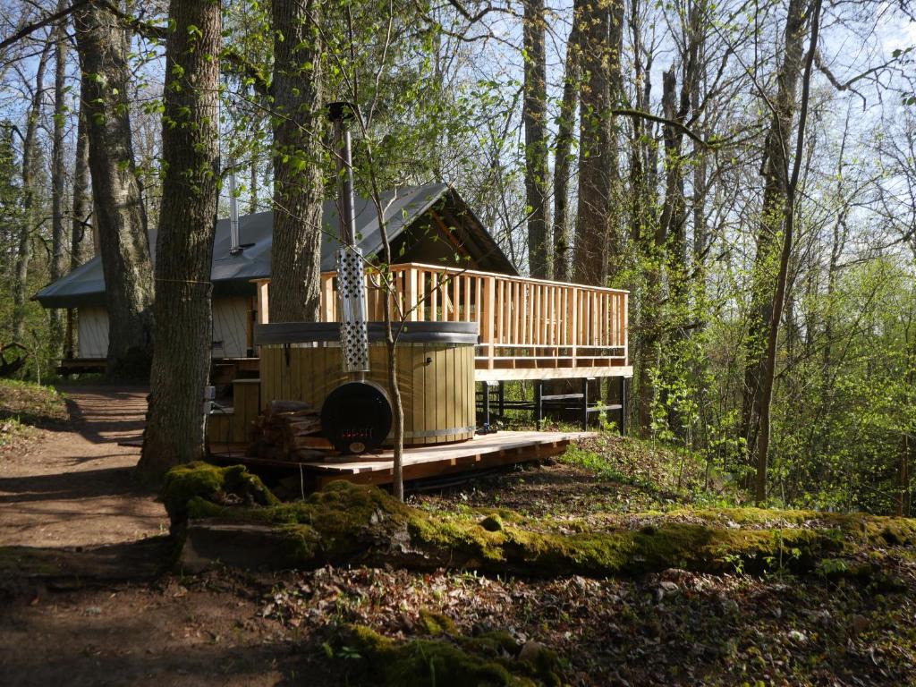 迪克里Mežurgu teltis的树林中的一个树屋