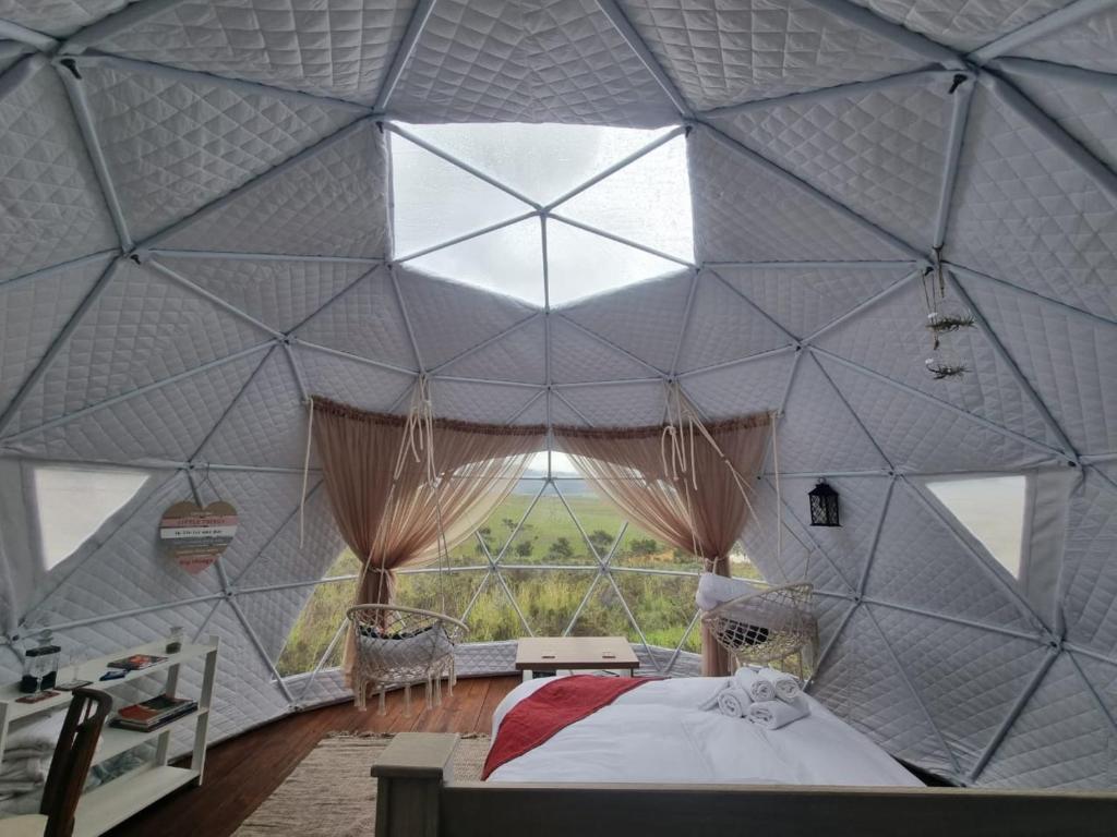 Hartebeest RivierPom Gratz - EcoDomes的卧室设有大天花板和大窗户