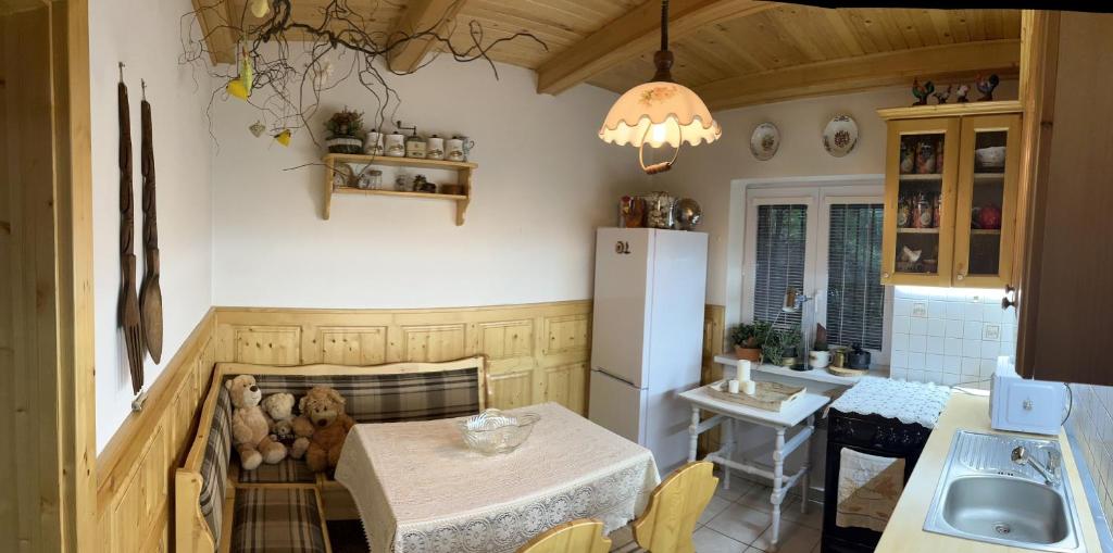 佩济诺克Villa Romana的厨房配有桌子和冰箱
