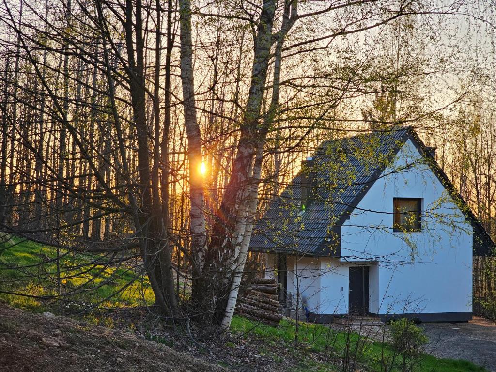 科瓦雷Wysoka Trawa Gruszków的树中间的白色小房子