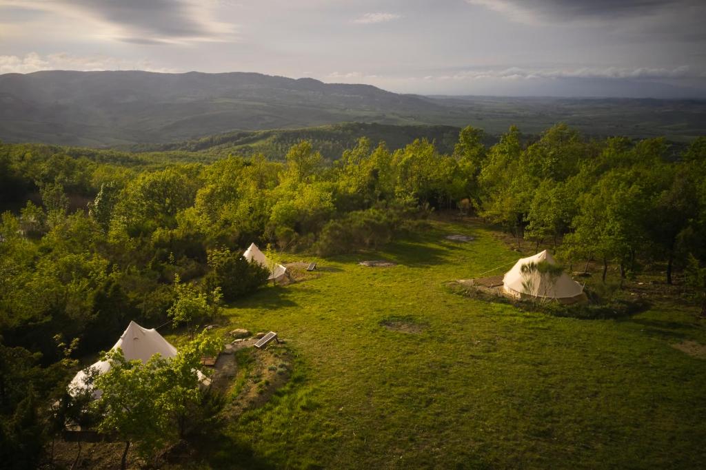 拉亚蒂科Agricola Ombra - Tents in nature的树木林地帐篷的空中景观