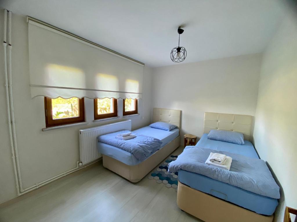卡特佩Maşukiye Home Suit Apart的一间卧室设有两张床和两个窗户。