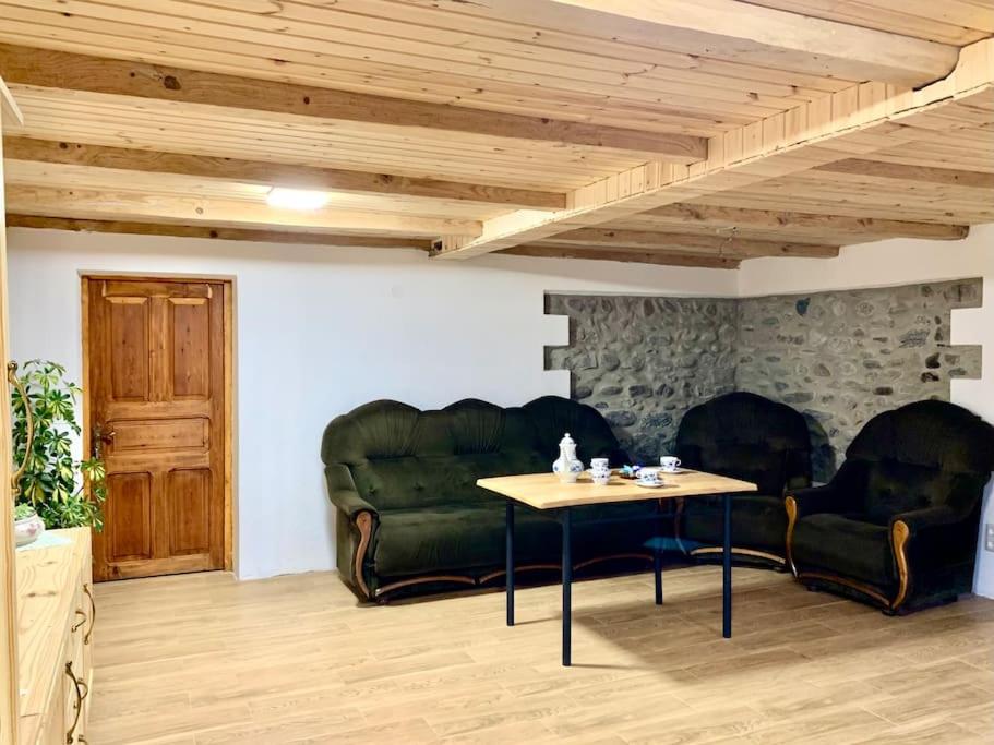 BagdatʼiLa-Marti, Idyllische Unterkunft mit Kamin的客厅配有两张绿色沙发和一张桌子
