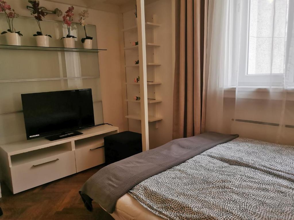 布达佩斯Liberty Bridge Zenta的一间卧室配有一张床和一台平面电视