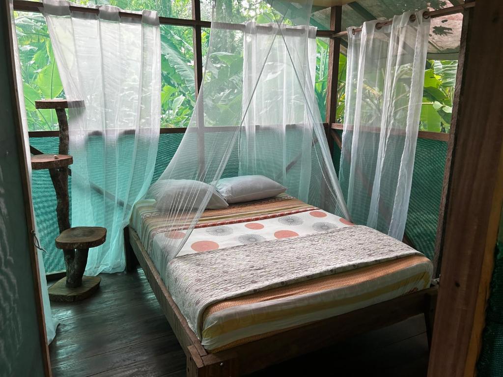 德雷克Rio Agujitas Eco Farm hostel and Tours的配有蚊帐的客房内的一张床位