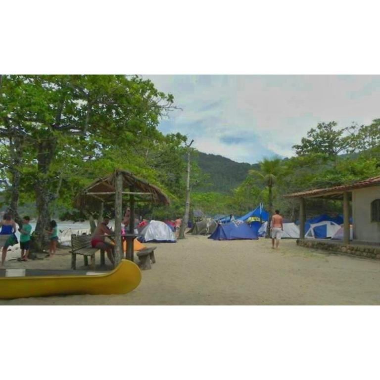 山景或在露营地看到的山景