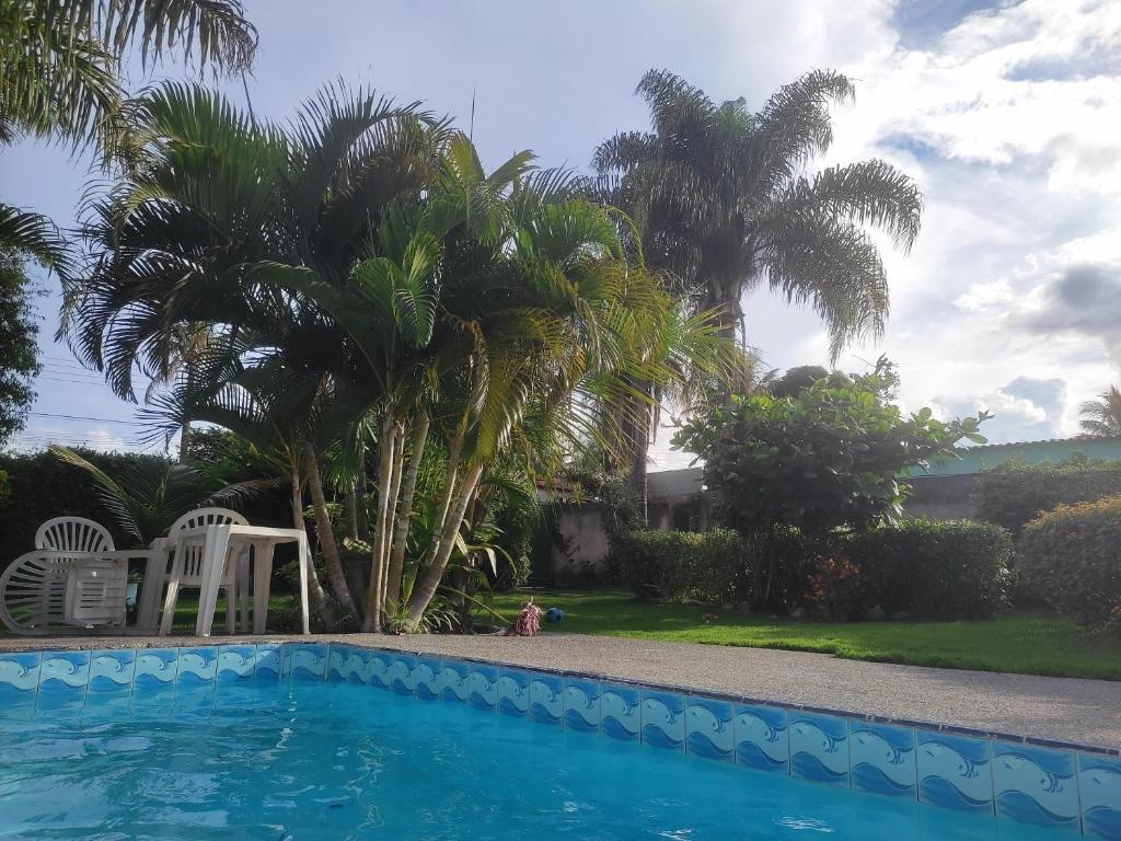 巴西利亚Casa do Sossego的庭院内棕榈树游泳池