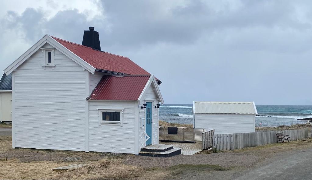 安德内斯Roligheten Lodge in Andenes的海边的白色房子,有红色屋顶