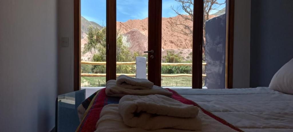普尔马马尔卡El cielo en Purmamarca的一间卧室设有一张床和一个美景窗户。