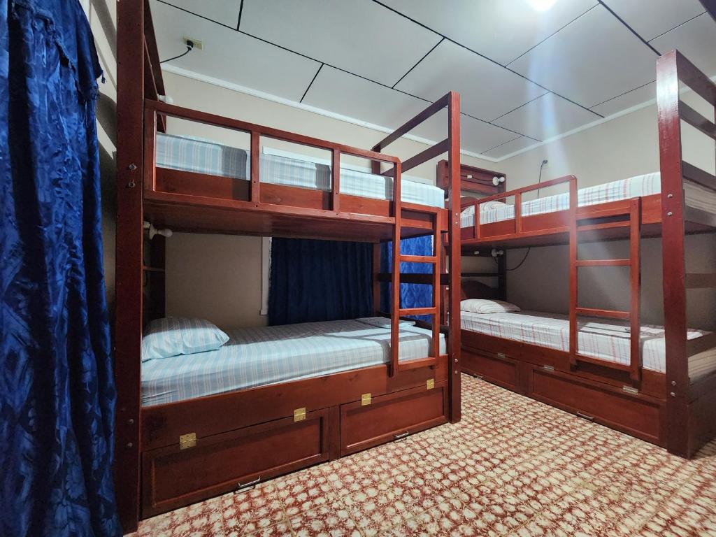 乌蒂拉Fenix Hotel & Hostel的两张双层床位于一个房间,房间中备有背风性关节炎性关节炎性关节炎