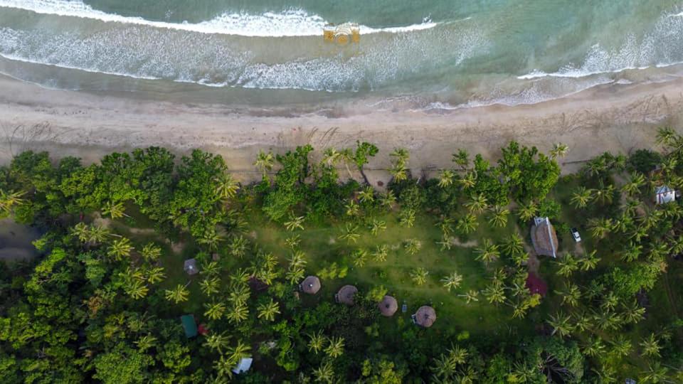 BacunganPlaya Paraiso Nagtabon Beach的享有海滩和大海的顶部景色