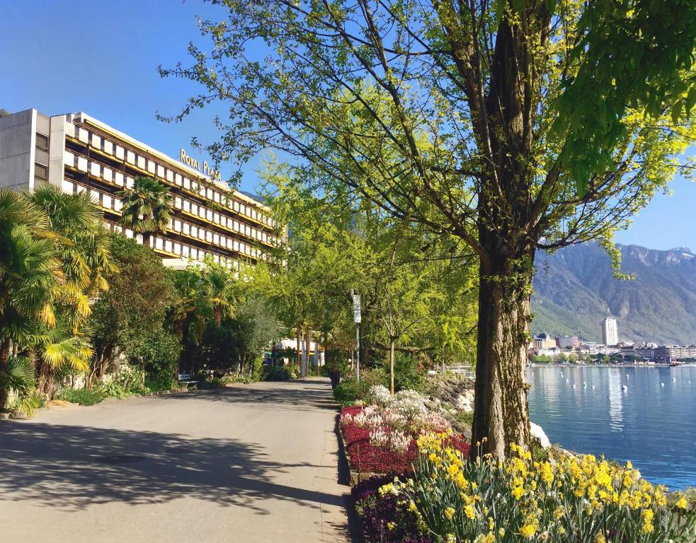 蒙特勒Royal Plaza Montreux的一座鲜花盛开的公园和一座湖边的建筑